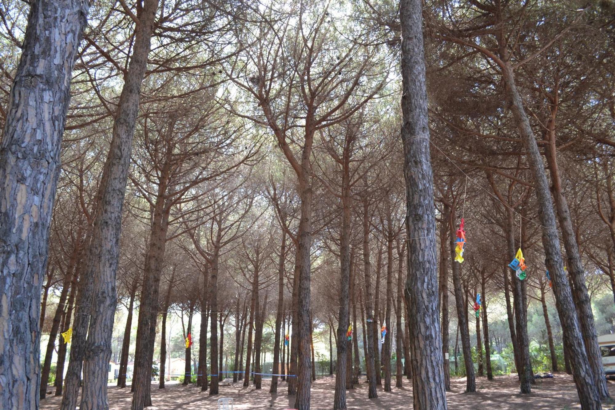 Giannella Camping Orbetello Eksteriør bilde