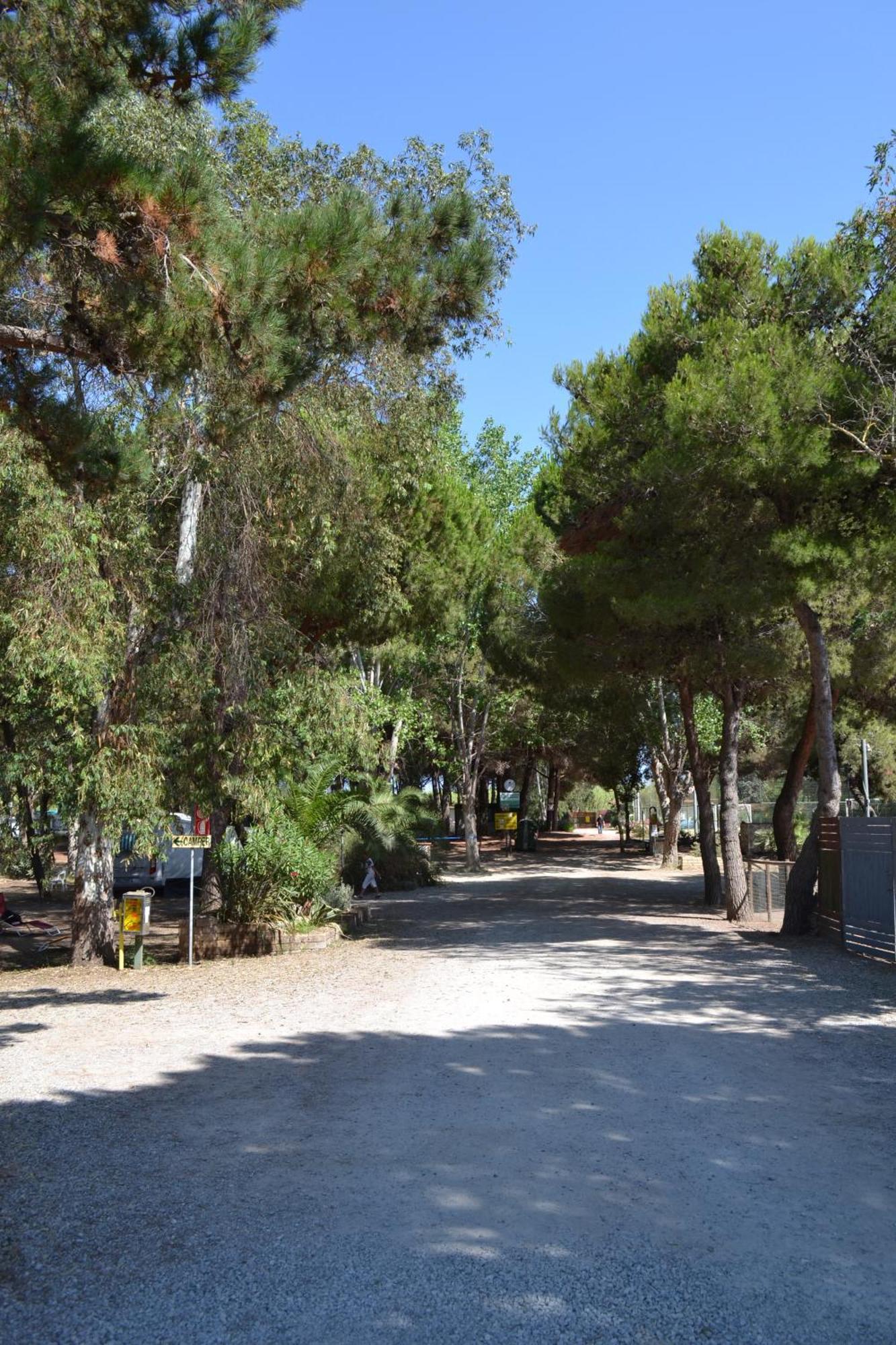 Giannella Camping Orbetello Eksteriør bilde